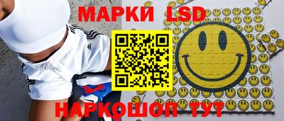 мдпв Гатчина