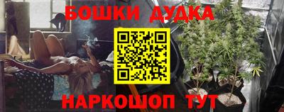 мдпв Гатчина