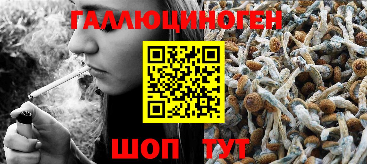 Псилоцибиновые грибы Psilocybe  Галлюциногенные грибы Psilocybe  купить наркотик  Вход с VPN  Карпинск 